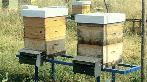 como hacer una caja para abejas